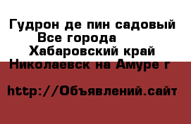 Гудрон де пин садовый - Все города  »    . Хабаровский край,Николаевск-на-Амуре г.